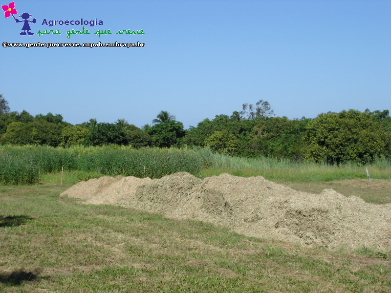 Área da Compostagem