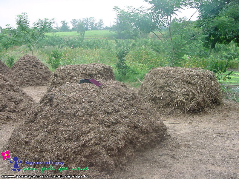 Pilhas de Compostagem
