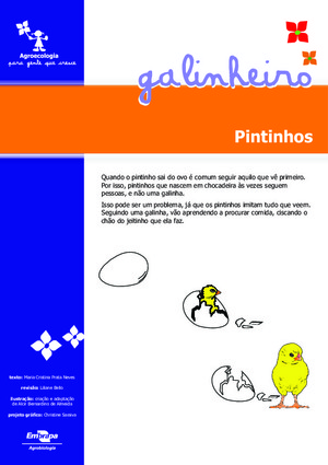 Pintinhos