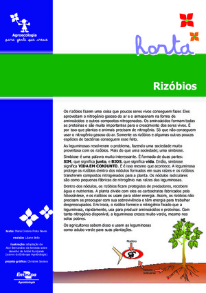 Rizóbios