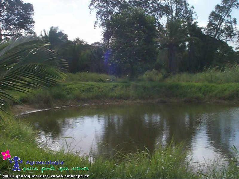 Detalhes do lago