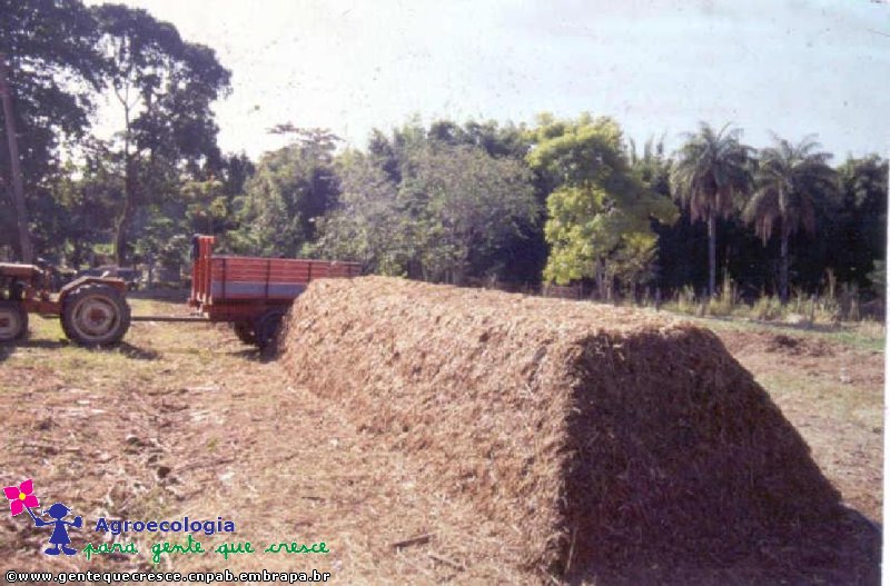 Pilha de Compostagem