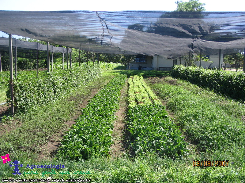 Horta