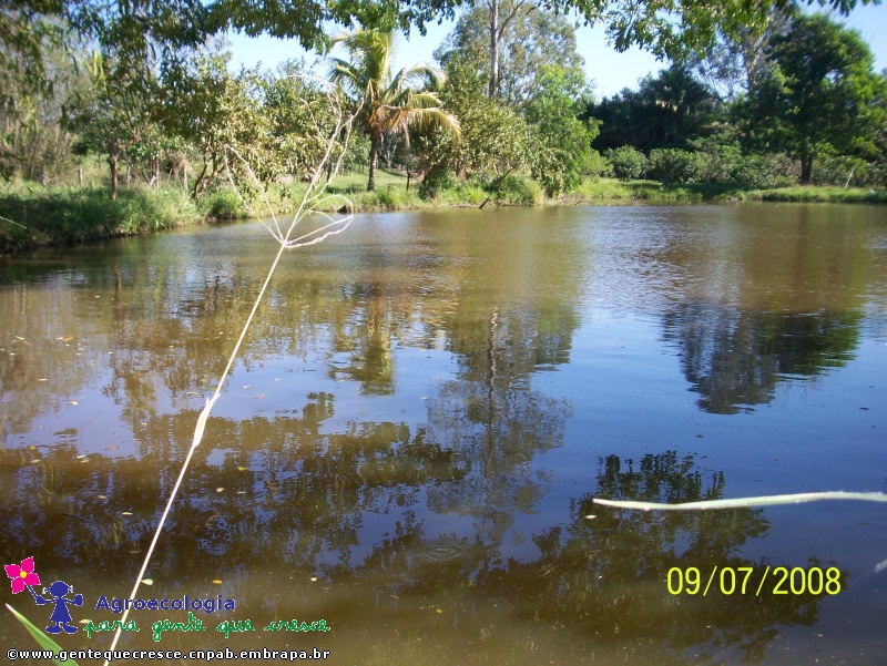 Lago