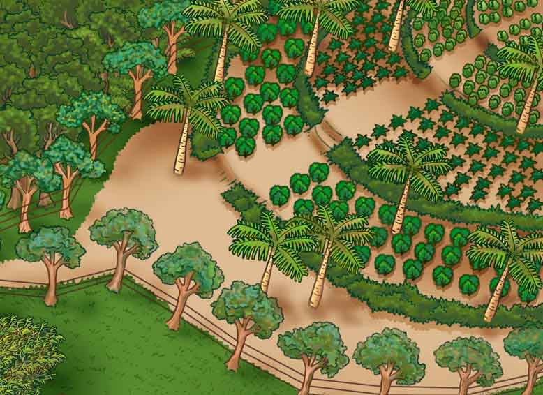 Área de Produção