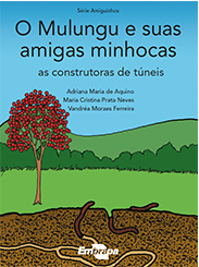 Livro 4