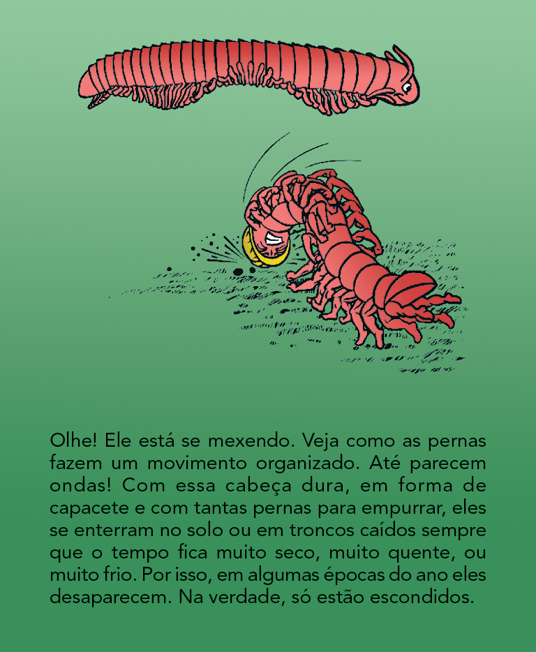 Página 11