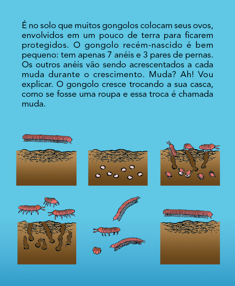 Página 12