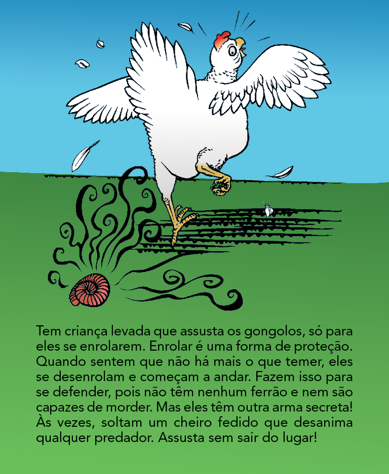 Página 14