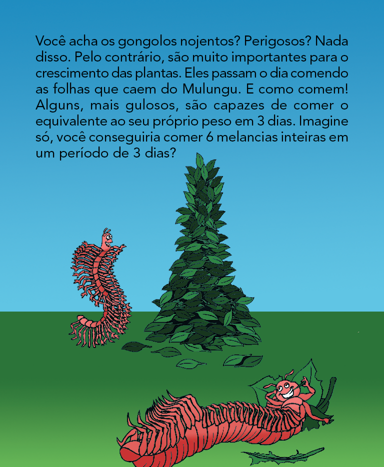 Página 15