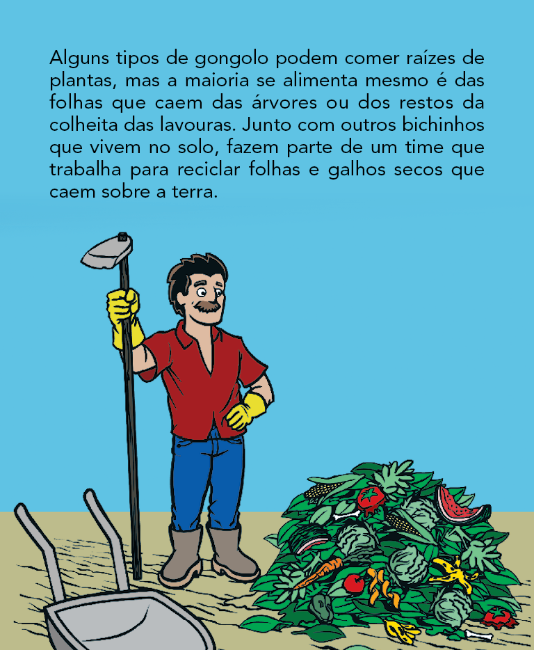 Página 16