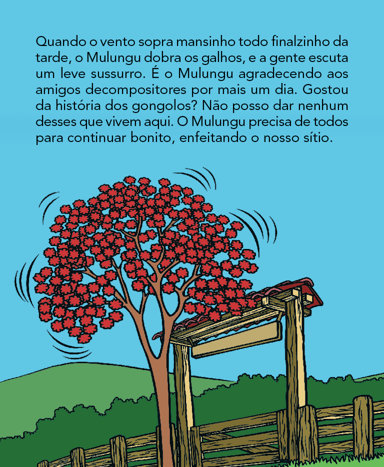 Página 19