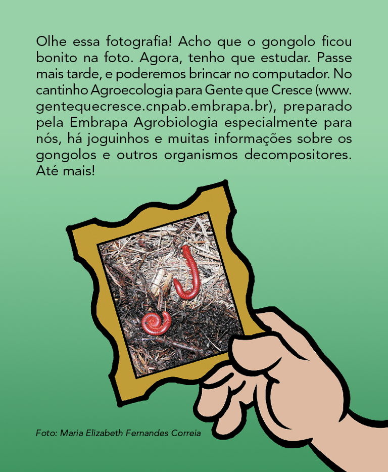Página 20