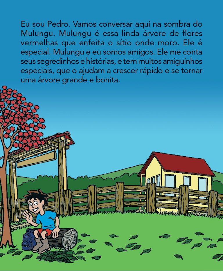 Página 4