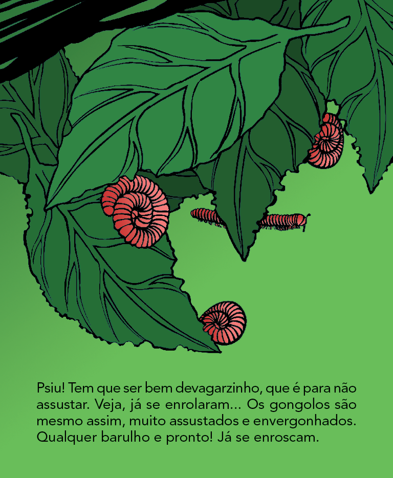 Página 7
