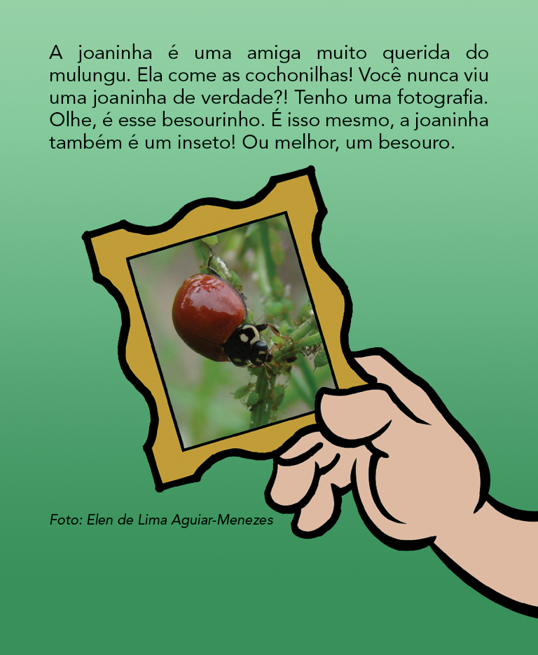 Página 12