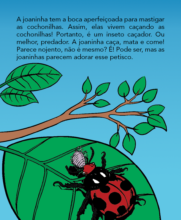 Página 14