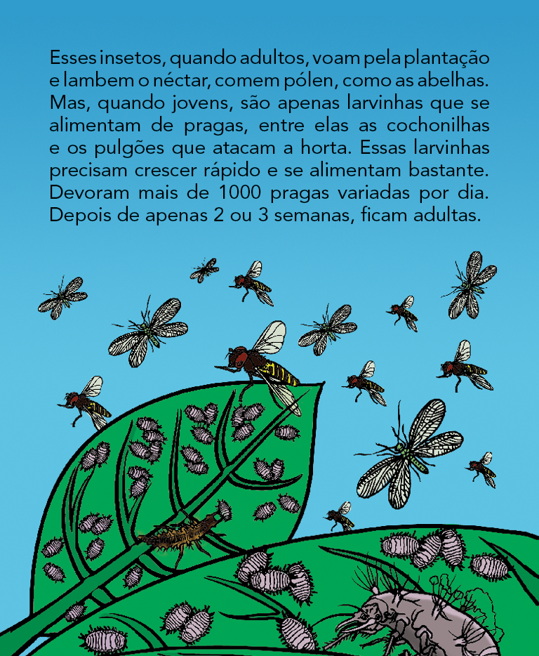 Página 22