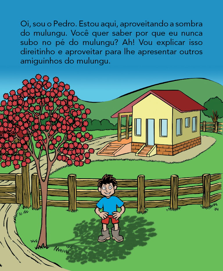 Página 4