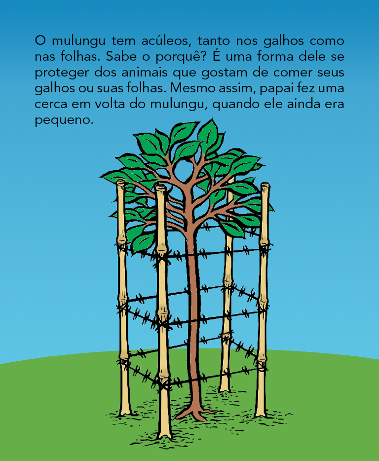 Página 6