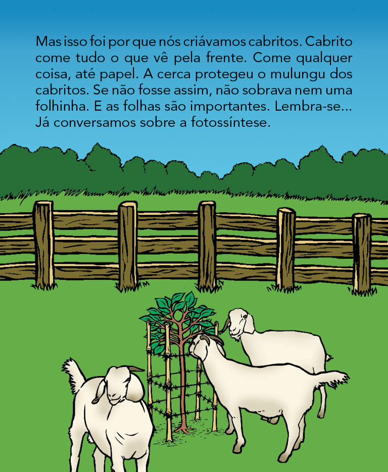 Página 7