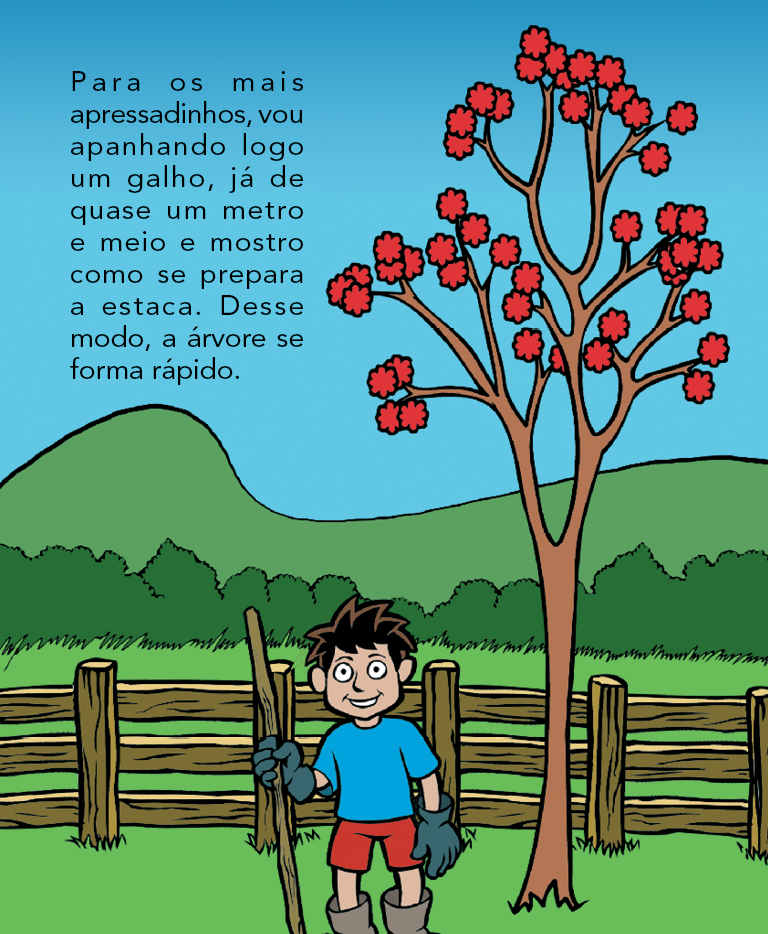 Página 21