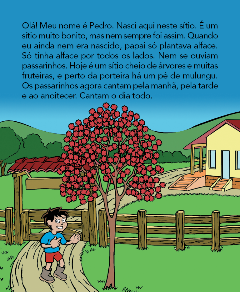 Página 4