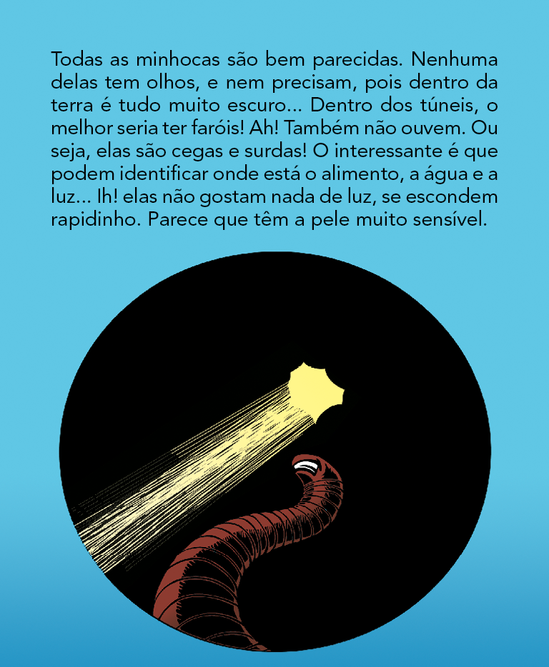 Página 16