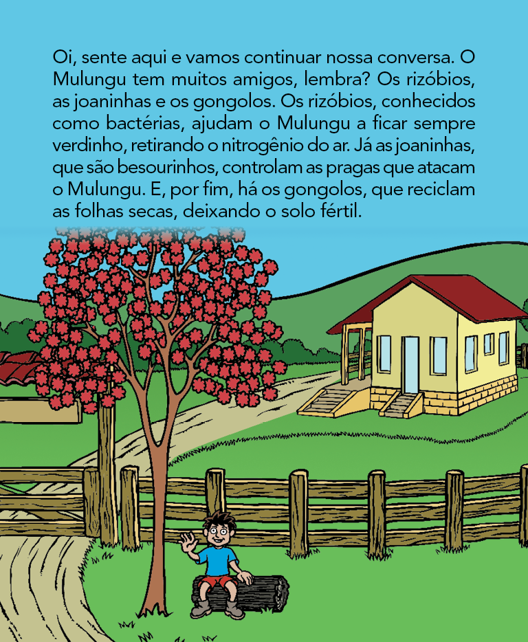 Página 4