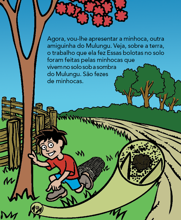 Página 5