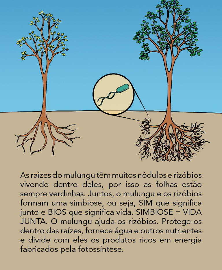Página 15