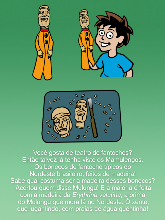 Página 12
