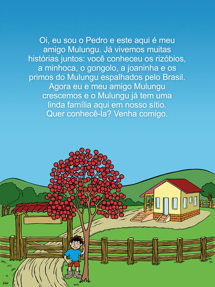 Página 5