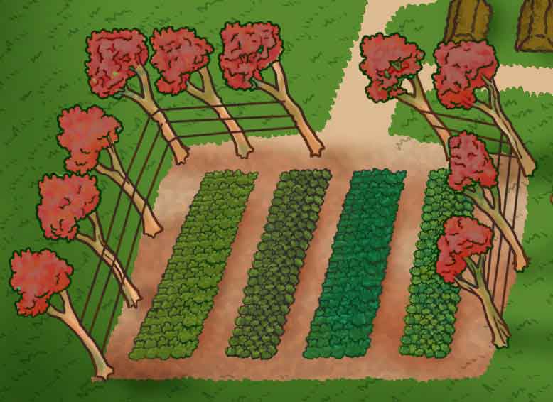 Horta