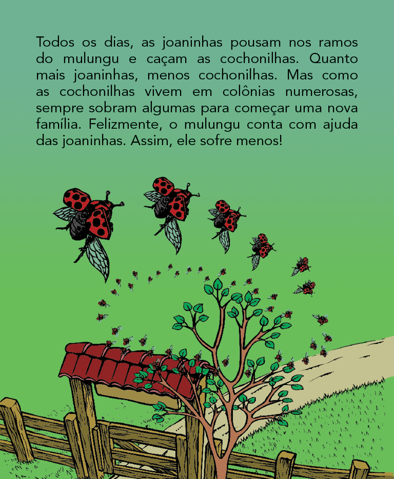 Página 15