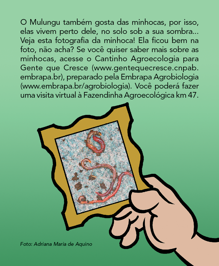 Página 23